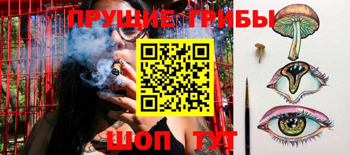 Магнитогорск  Псилоцибиновые грибы мухоморы  Вход с VPN 